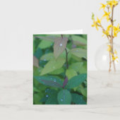 露離れ付き カード (黄色い花)