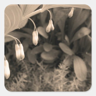 露 スクエアシール