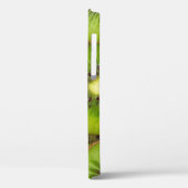 青々と熟したキウイの実を、こわし色に切り分けます。c Case-Mate iPhoneケース (裏面 / 左)