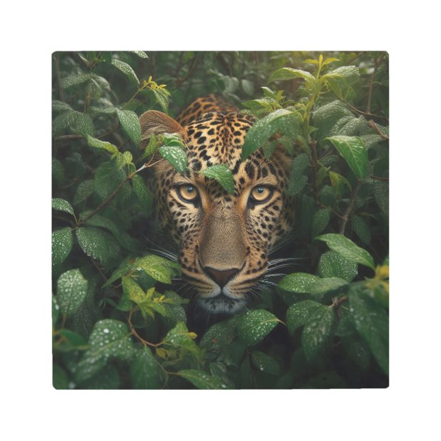 青々威厳のあるとしたジャングルにヒョウ：ワイルドライフアート メタルプリント (正面)