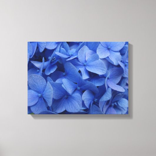 青あじさいキャンバス印刷 キャンバスプリント (正面)