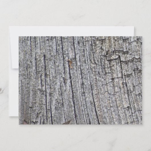 青あじさいハートフローラカップル結婚シャワー 招待状 (裏面)