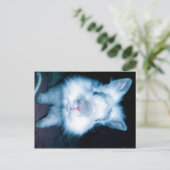 青いうさぎ ポストカード (スタンド正面)