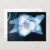 青いうさぎ ポストカード (正面/裏面)