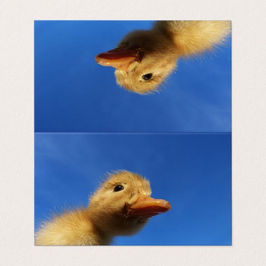 青いおもしろいカードで鴨を鳴らす 名刺 (外部フラット)