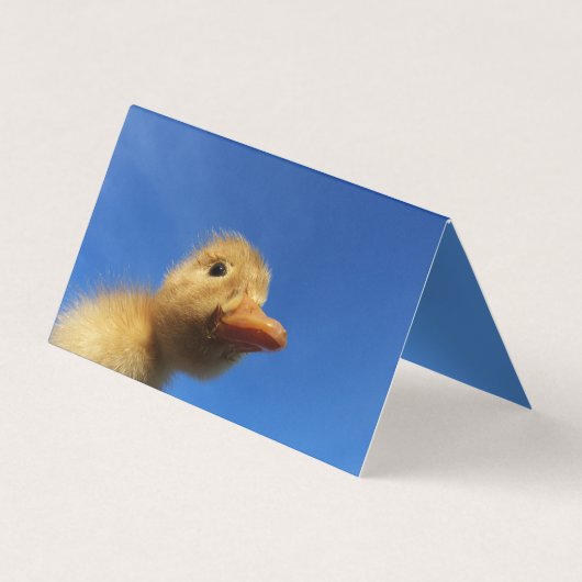 青いおもしろいカードで鴨を鳴らす 名刺 (裏面)