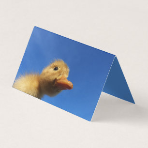 青いおもしろいカードで鴨を鳴らす 名刺