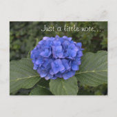 青いかわいらしあじさいが少し注意 ポストカード (正面)