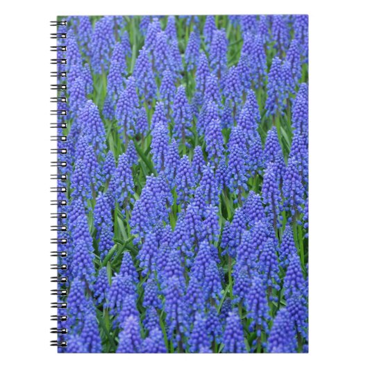 青いかわいらしムスカリ ノートブック (正面)