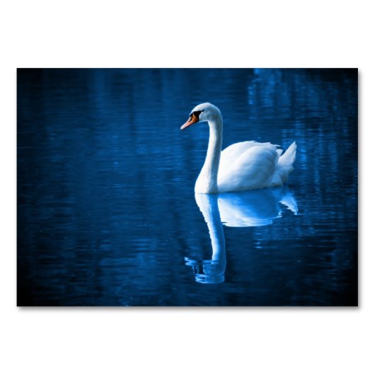 青いかわいらし湖に浮かぶ白い白鳥 テーブルナンバー (正面)