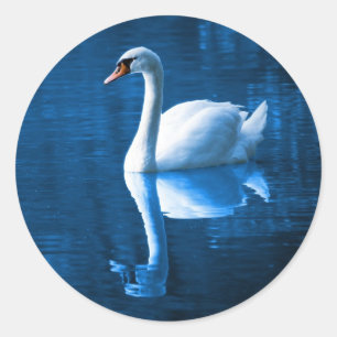 青いかわいらし湖に浮かぶ白い白鳥 ラウンドシール