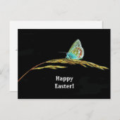 青いかわいらし蝶の草の写真復活祭 ポストカード (正面/裏面)