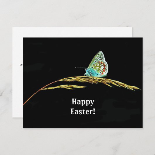 青いかわいらし蝶の草の写真復活祭 ポストカード (正面/裏面)