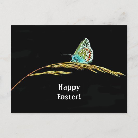 青いかわいらし蝶の草の写真復活祭 ポストカード (正面)