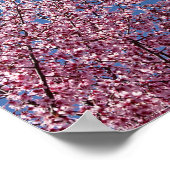 青いさくらんぼに咲日本のく花のタイル ポスター (角)