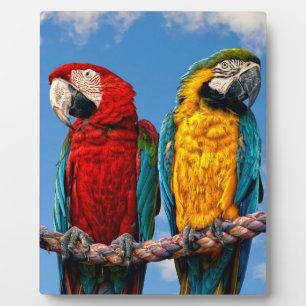 青いと黄色のマカオと真っ赤なマカオ フォトプラーク