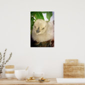 青いひよこ ポスター (キッチン)