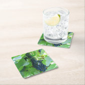 青いぶどう スクエアペーパーコースター (インサイチュ)