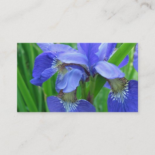 青いアイリスの花 名刺 (正面)