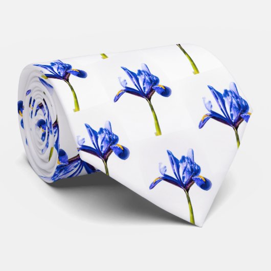 青いアイリスタイ ネクタイ (ロール)