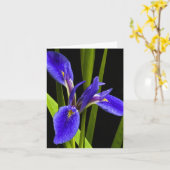 青いアイリスブランクのメッセージカード カード (黄色い花)