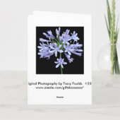 青いアガパンサス属の黒のハッピーバースデー カード (裏面)