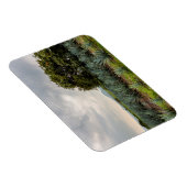 青いアガベの風景 マグネット (右側)