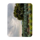 青いアガベの風景 マグネット (縦)
