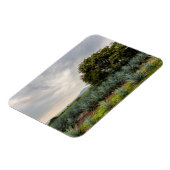 青いアガベの風景 マグネット (左側)