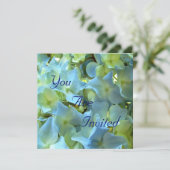 青いアジサイによっては花の花の写真が開花します 招待状 (スタンド正面)