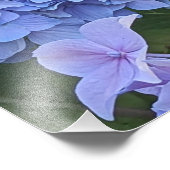 青いアジサイの花 フォトプリント (角)