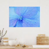 青いアジサイの花 ポスター (キッチン)