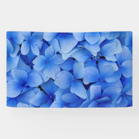 青いアジサイの花 横断幕 (横)