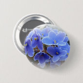 青いアフリカバイオレット 缶バッジ (正面&裏面)