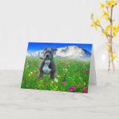 青いアメリカのピット・ブルテリア、穂先のピーク カード (黄色い花)