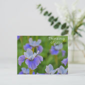 青いアヤメの花 想い出してる ポストカード (スタンド正面)