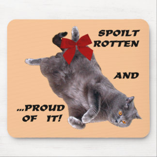 青いイギリスのShorthair猫のmousepad: だめにされた腐った マウスパッド