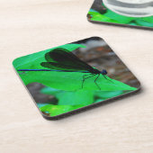 青いイトトンボが緑の葉の上に止まっている コースター (左側)