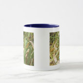 青いイトトンボのマグ マグカップ (中央)