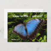 青いエキゾチックな蝶 ポストカード (正面/裏面)