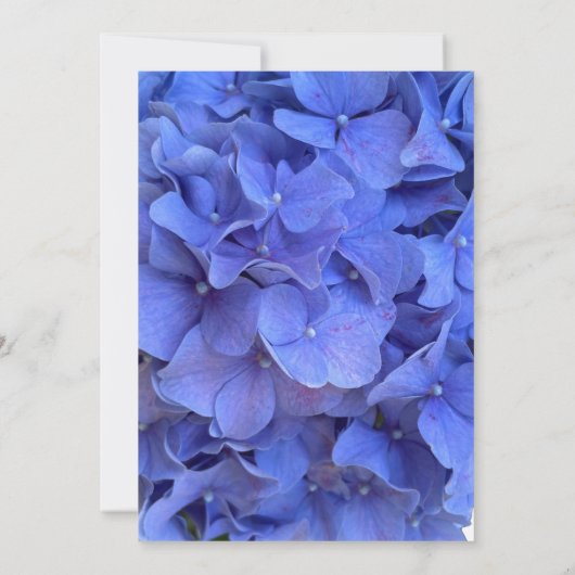 青いエレガントペリウィンクルフローラブライダルシャワー 招待状 (裏面)