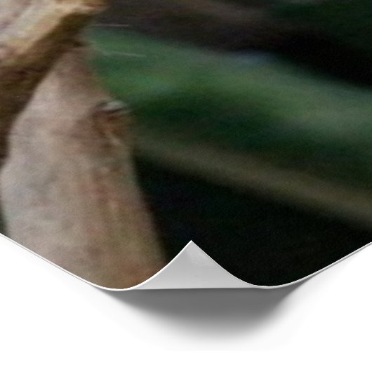 青いオウムの写真 ポスター (角)