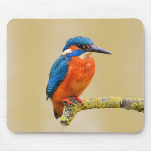 青いオレンジカワセミの鳥 マウスパッド