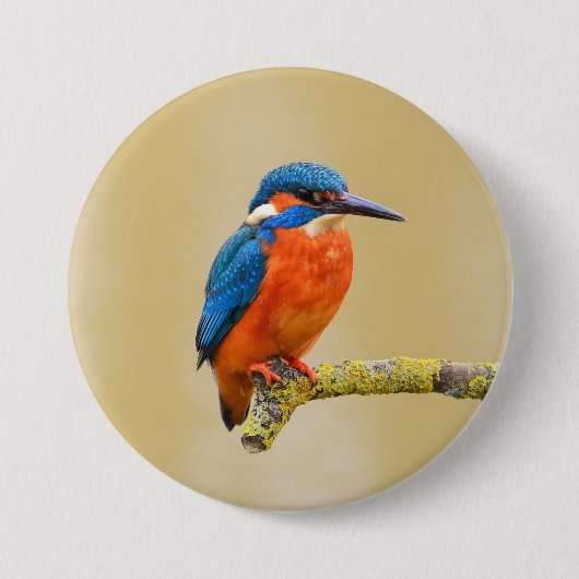 青いオレンジカワセミの鳥 缶バッジ (正面)