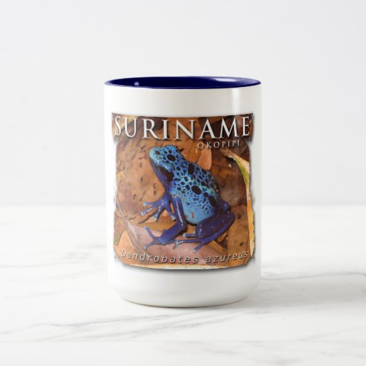 青いカエルが付いている2色のマグ ツートーンマグカップ (中央)