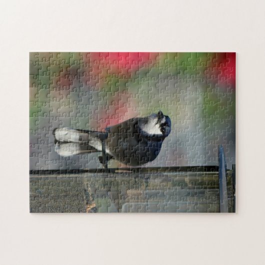 青いカケスがフィーダーの写真鳥に止まる ジグソーパズル (横)