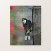 青いカケスがフィーダーの写真鳥に止まる ジグソーパズル (縦)