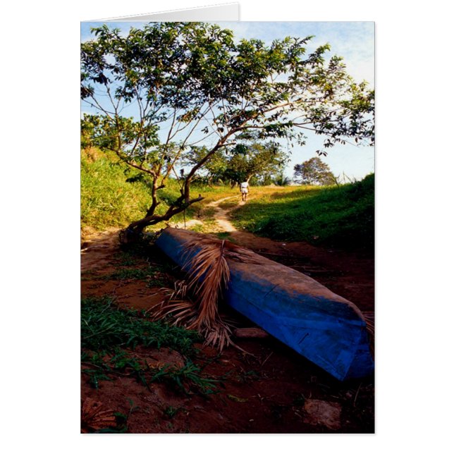 青いカヌーおよびチノ、余りに (正面)