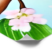 青いカラフル鳥が咲く枝に止まる ポスター (角)