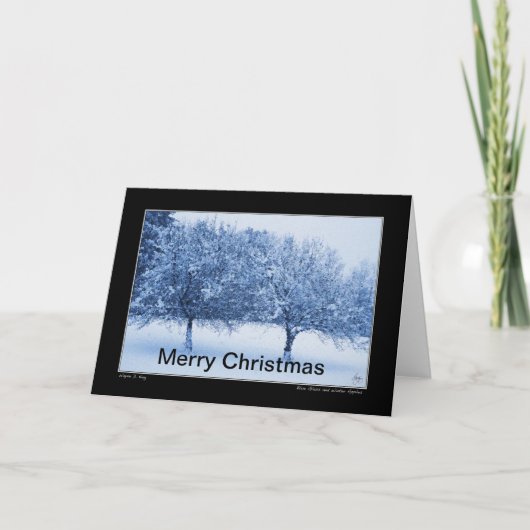 青いガラスと冬のリンゴのクリスマスカード カード (正面)